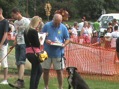 rspca--vin-&-murphy-in-the-